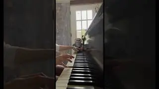 MEGALOVANIA jazz solo! #undertale