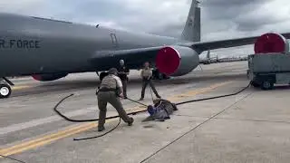 Uçak pistinde timsah yakalandı!