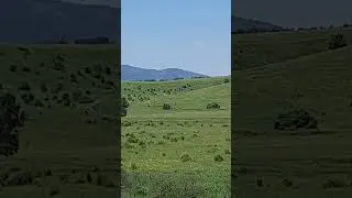 27 июня 2024 г.