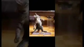 Ееее 5 денег😎🤑