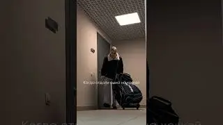 🙈 
