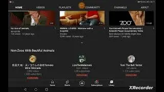 report aluzky