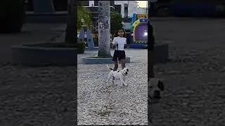 americam bully