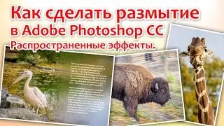 Как сделать размытие в Photoshop. Самые распространенные эффекты.