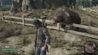 Days Gone - Rager can't cross the fence