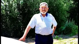 7006172022ж