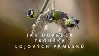 Zkouška lojových výrobků - LOVY