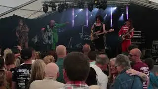 STEVE FERRINGO BAND @ FERRINGOFEST '23