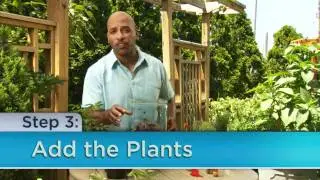 How to Make a Terrarium