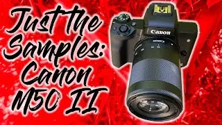 Just the Samples: Canon M50 II