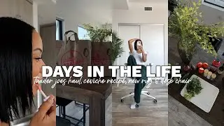vlog: trader joes haul, ceviche recipe (finally!), 'no makeup' makeup new rug & desk chair