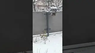 Кормушка на разхват !