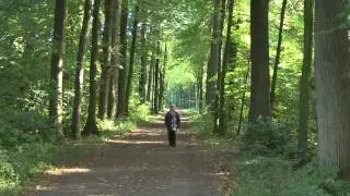 Riny Bos - Alleen in Zuid