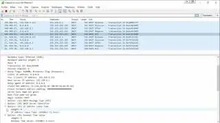 DHCP wireshark
