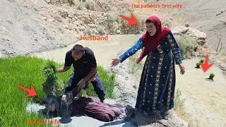 Husband's anger over second wife's abusive behavior towards sick first wife...............