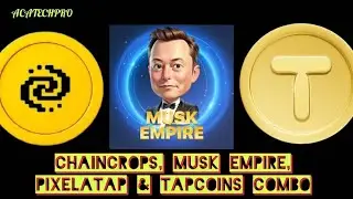 MUSK EMPIRE COMBO, ROCKET RABBIT COMBO, TAPCOINS COMBO, CHAINCROPS COMBO #crypto #fyp #muskempire