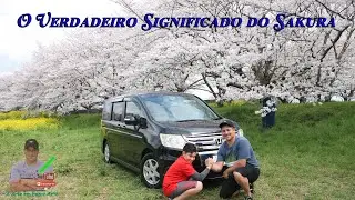 "Desvendando o Mistério: O Verdadeiro Significado do Sakurá Branco no Japão" Voando com Air 3 dji