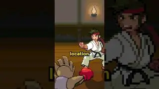 Karate Master's Hidden Surprise
