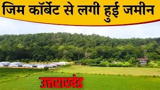 Land for Sale | Forest Tousch - Jim Corbett Ramnagar Uttarakhand | Resort and Ploting Investment