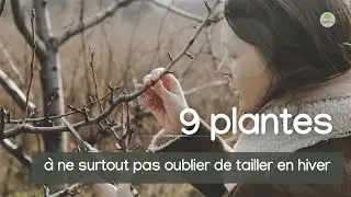 9 plantes à ne surtout pas oublier de tailler en hive