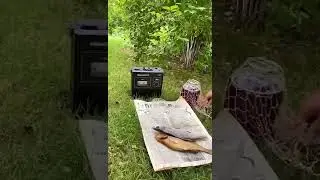 Живший тогда - сам поймёт...🤔😁🤣