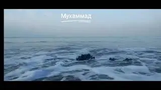 Muhammad 17 ноября 2023 г.