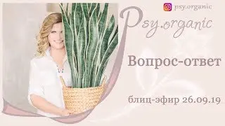 Блиц-эфир 26.09.19