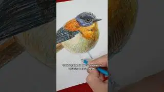 #art
