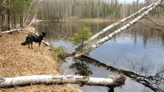 Путешествие к реке с ночёвкой. Малица как кресло у костра. Палатка как разгрузочное кресло у костра.