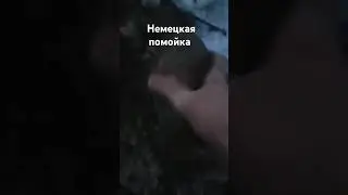 Помойка радует находками