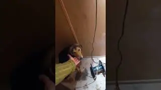 ТОТ САМЫЙ ДОМОВОЙ ИЗ ПРОШЛОГО ВИДЕО 