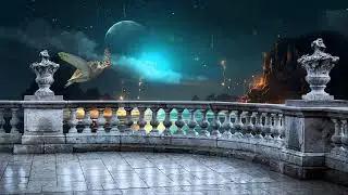 The Flight of the Turtle in the Moonlight (Free video on my Pixabay Profile)