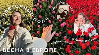 86. Tulips, Tabi, 10/10 Drama and A Week Without Sweets | VLOG | Karolina K
