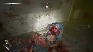 Dying Light 2 More Buggy Drawers