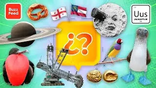 Respuestas a Preguntas Curiosas! 🧠 [Curi] [23]