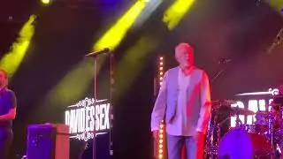 DAVID ESSEX -  Rock On