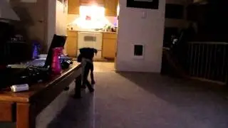 Zero Playing Around