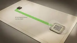Securing Future Biometric Payment Cards