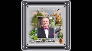 Bokor János : Csak azért iszom én