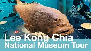 Lee Kong Chian National History Museum Tour