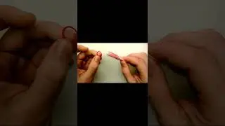 Как сделать Бумажные цветы своими руками
