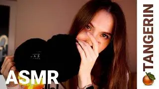 ASMR Fabric Scratching / Mic Scratching / Ear Massage | Tangerin