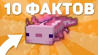 10 ФАКТОВ о Новом Мобе АКСОЛОТЛЬ (Axolotl) В ПЕЩЕРНОМ ОБНОВЛЕНИИ Майнкрафт 1.17 | ЧАСТЬ 2