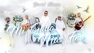 YARIEL ROARO - Mi Gallo Mas Fino
