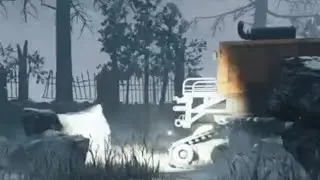 Flashlight bug