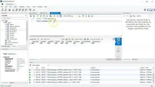 Wildcards in SQL