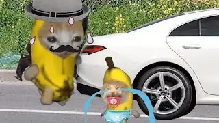 BANANA CAT 🍌🐱 BABY BAD LUCK 😿 VIDEOS 41 ( 2 MINUTES )