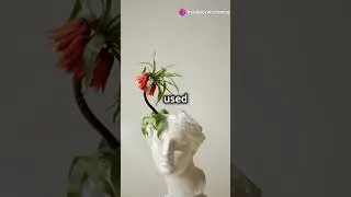 The Golden Ratio Nature’s Secret Code