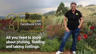 Garden Masterclass with Tanya Visser