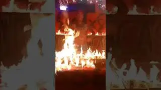 Best 🔥 ever